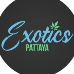 Exotics Pattaya 🇹🇭